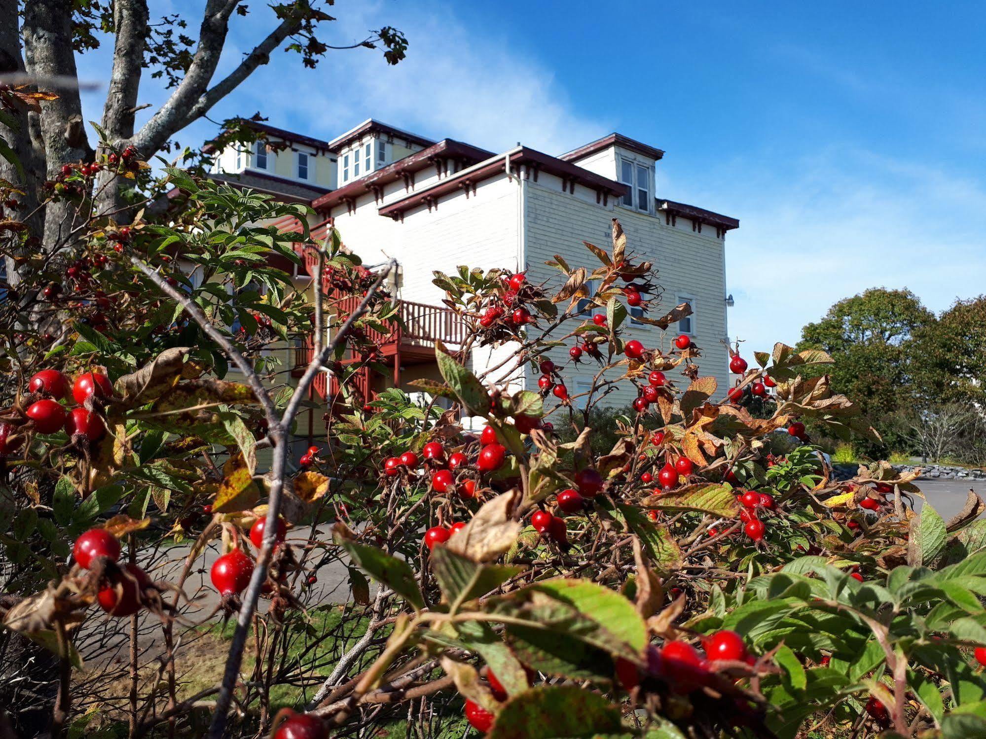 סאינט ג'ון Homeport Historic B&B מראה חיצוני תמונה